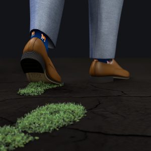 Close up of a shoes leaving footprints of growing plants